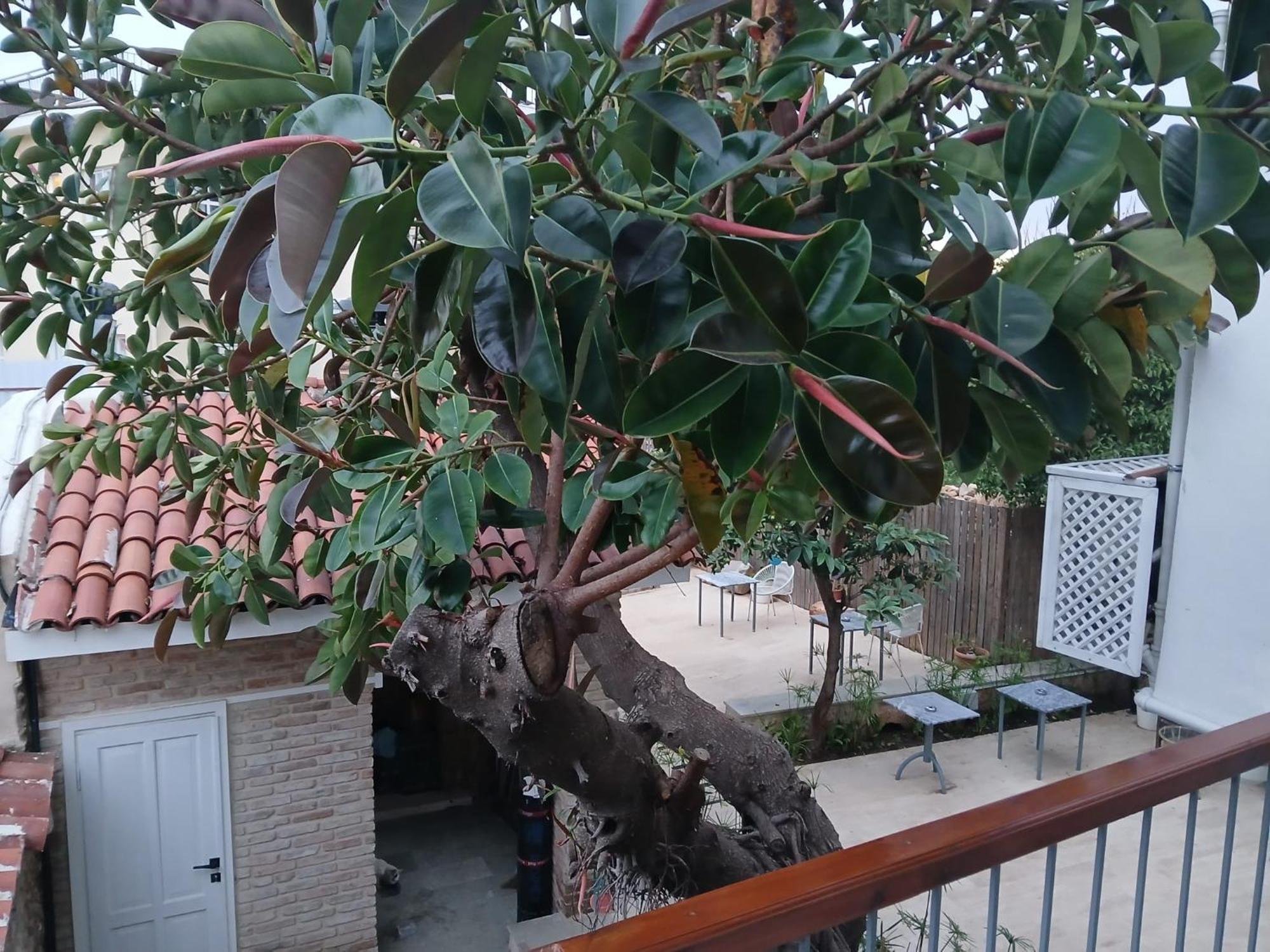 Hotel House Of Good Things Antalya Exterior foto